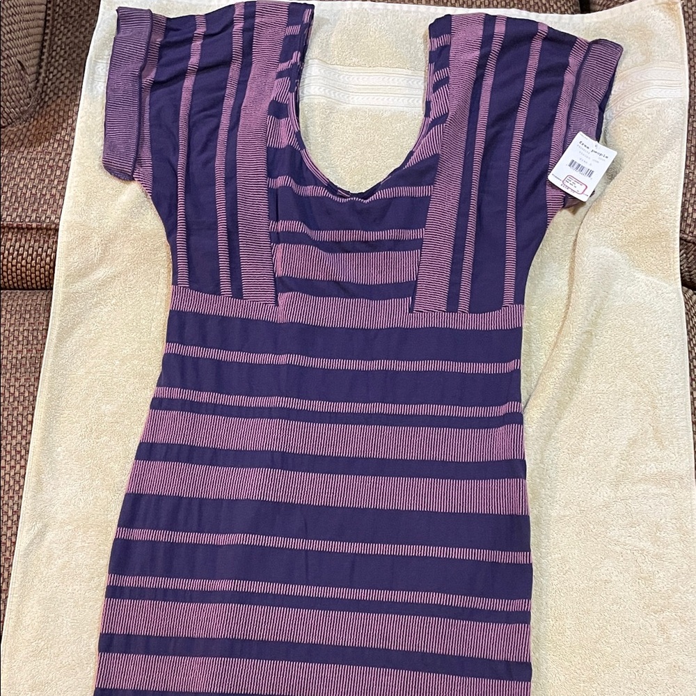 Free People Violet and Pink Striped Dress